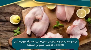 ارتفاع سعر الكيلو الأبيض في المزرعة إلى 62 جنيهًا اليوم الاثنين 4-8-2025.. كم وصل للبيع في السوق؟